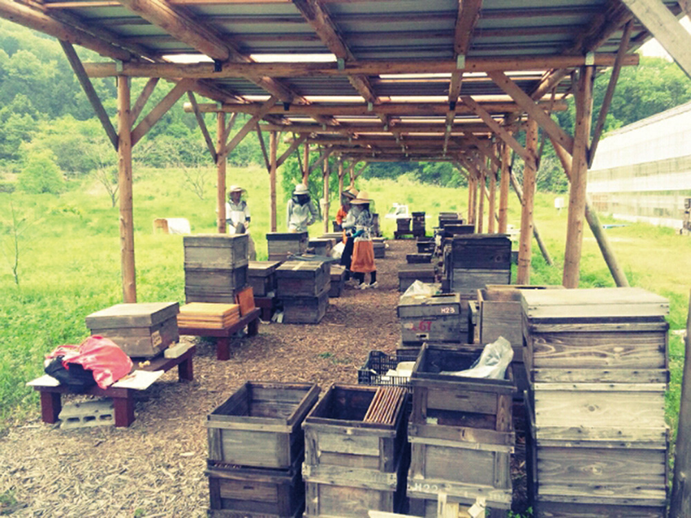 山田養蜂場みつばち農園