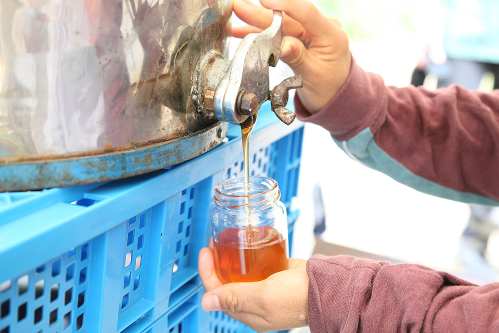Yamada Bee Farm Honeybee Park (Honey extracting experience)