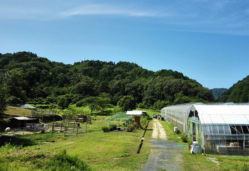 Yamada Bee Farm Honeybee Park (Strawberry picking)