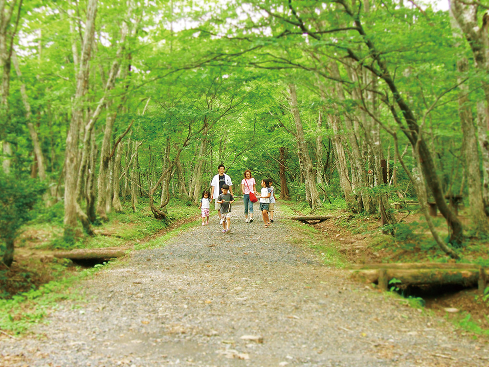 冈山县立森林公园