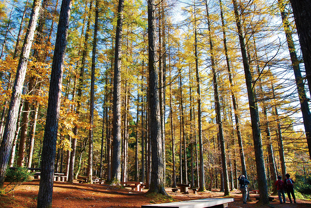 Okayama
Prefectural Forest Park