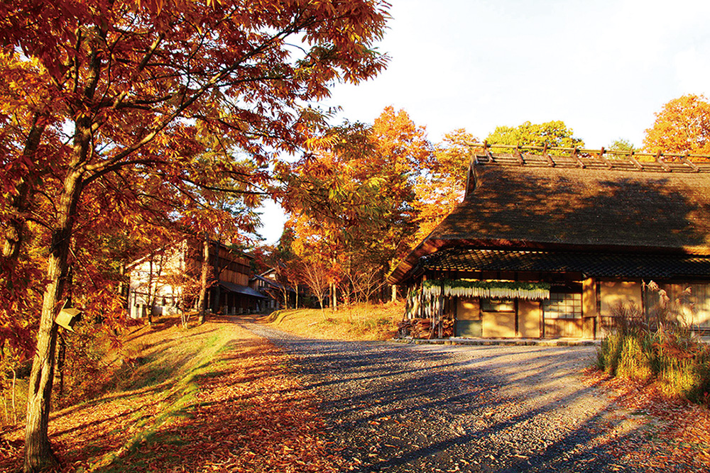 Akawase Valley / Ombara Kogen Highlands