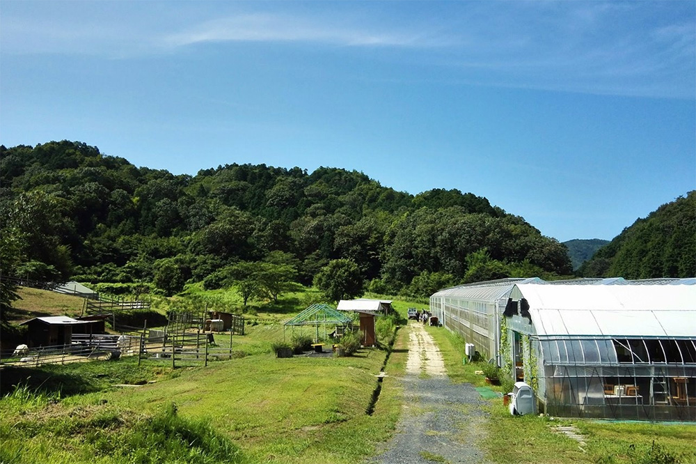 山田養蜂場蜜蜂農園