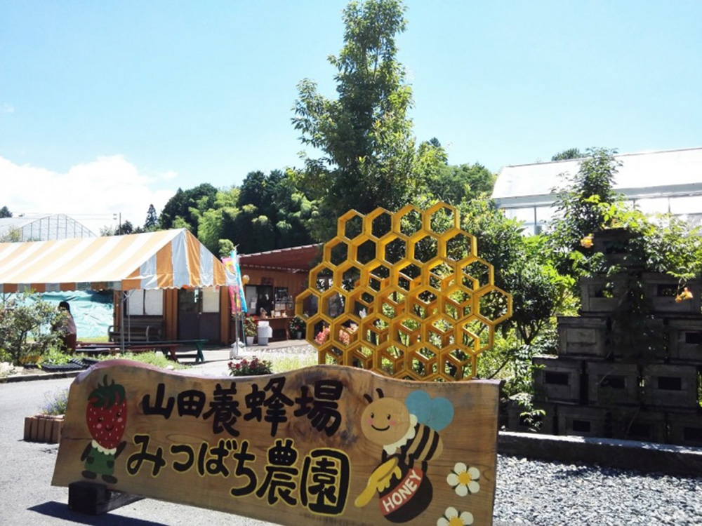 Yamada Bee Farm