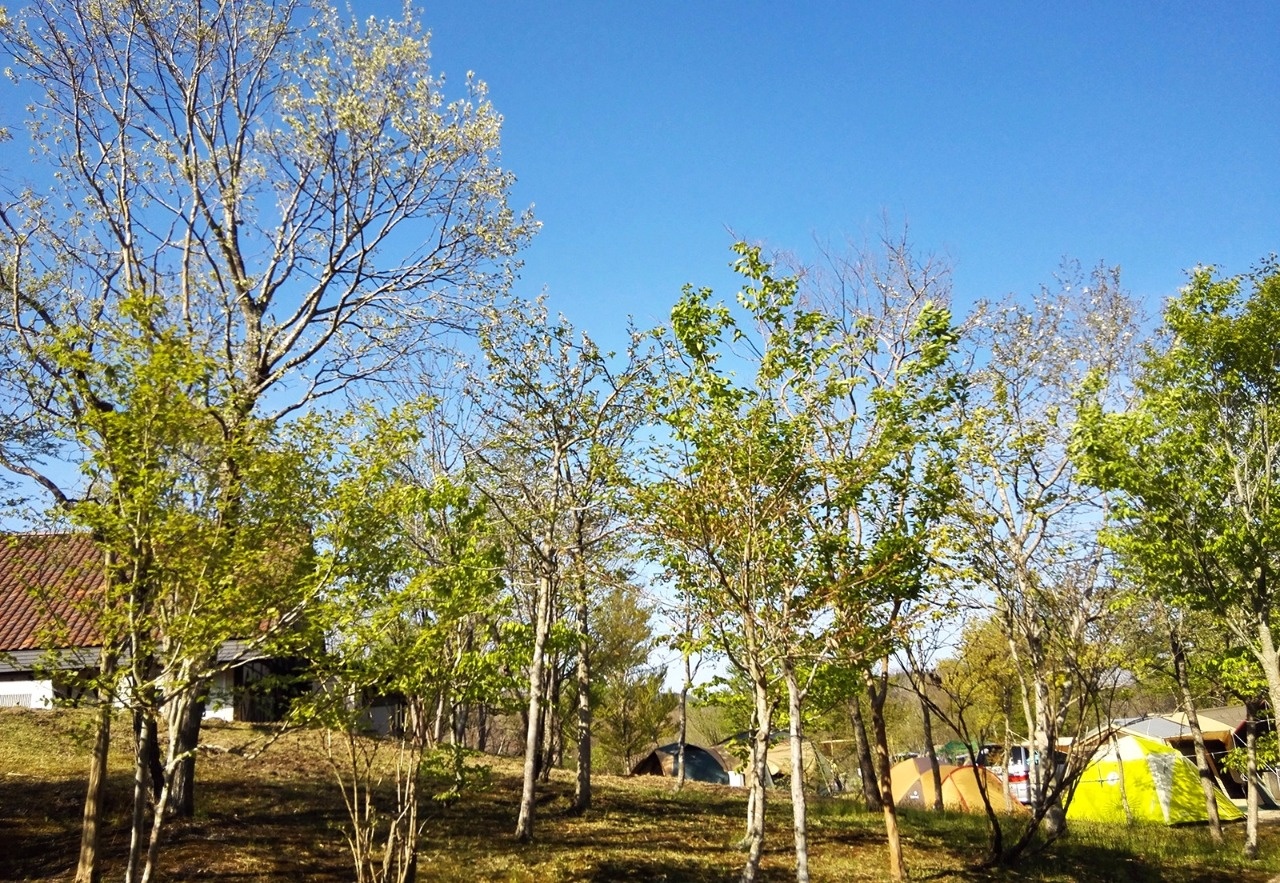 恩原高原 自助露营场