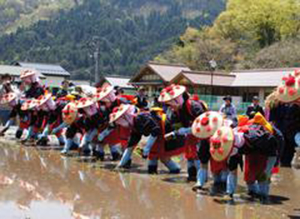 Rice planting festival